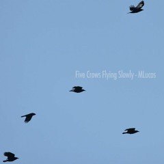 Five Crows Flying Slowly