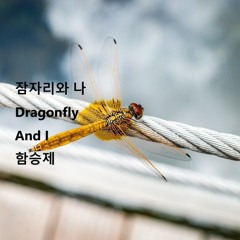 잠자리와 나(Dragonfly And I)