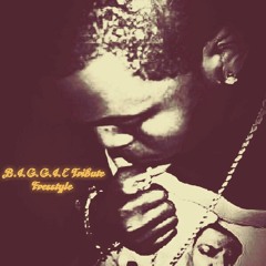 "B.I.G.G.I.E Tribute" (Freestyle)