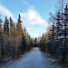 It is what it is.....