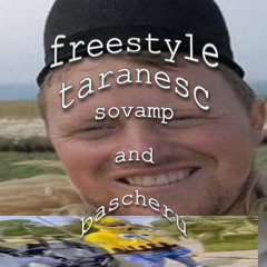 freestyle taranesc || sovamp ( collab w/ bascheru )