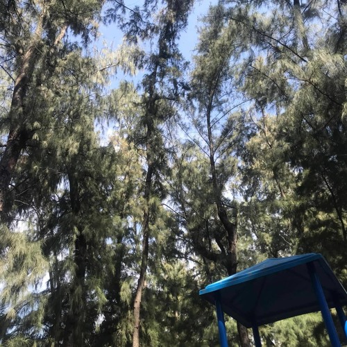 The Unknown - TH Ft Le Duy Ft Slex
