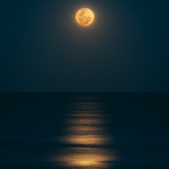 To The Moon