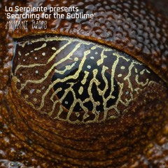 La Serpiente presents 'Searching for the Sublime' [08.04.25]