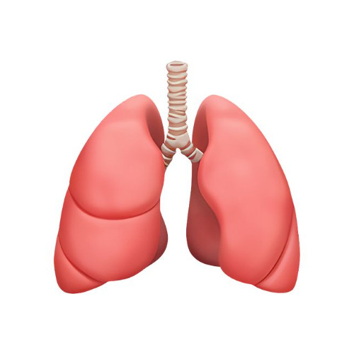 pqTalkn(prod.xenbrixx)