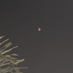 Pass The Dutchie ft Acoupstix