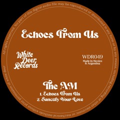 WDR049 - The AM - Sanctify Your Love (White Deer Records)