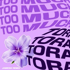 Too Much - Tora (JAMESIK Remix)