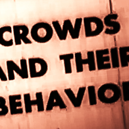 "Crowds and Their Behavior (exp11 RRR)" *Exclusive Remix*