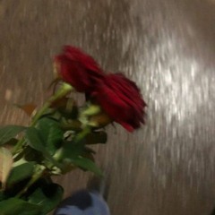 Voicemail 2: phone calls. - Han Kim