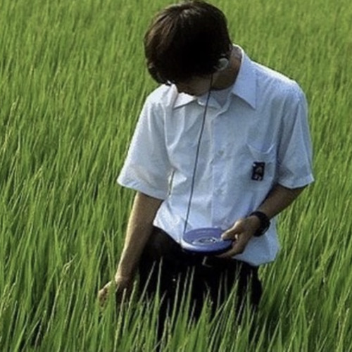 Stream *misa// Listen to feeling good drinking chamomile tea playlist