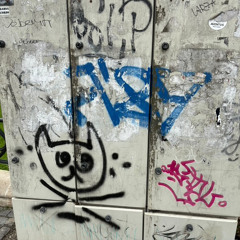 blt - SPUNE RMX p. danu