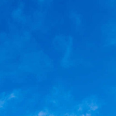 displayusers