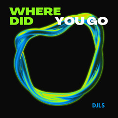 DJLS - Where Did You Go
