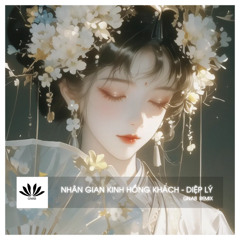 NHÂN GIAN KINH HỒNG KHÁCH 人间惊鸿客 - GNAB REMIX