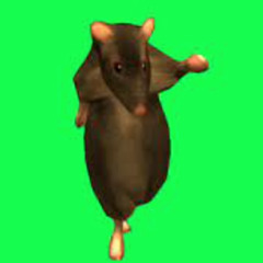 Chess (Rat Dance) Cover