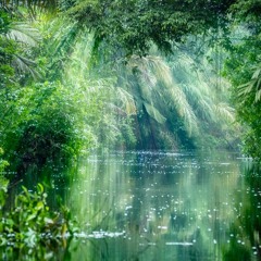 Calm from 'Amazon'