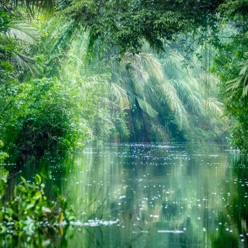 Calm from 'Amazon'