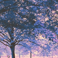The Scent Of Home