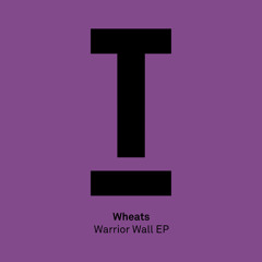 Everyone (Original Mix)