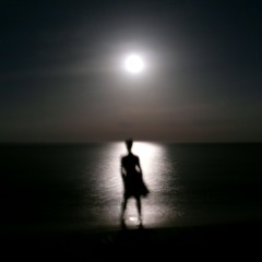 sea of reflection