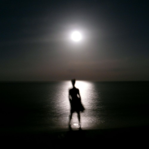 sea of reflection