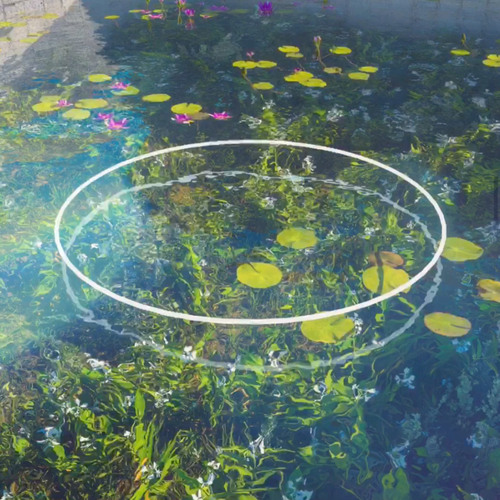 Lily Pond (Meditation)