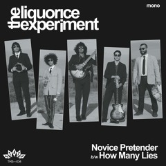 The Liquorice Experiment—Novice Pretender / How Many Lies