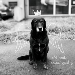 старый солдат