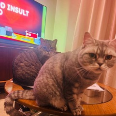 John's Sofa Sessions