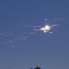 Quick Calling [DEMO]