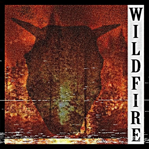 Wildfire