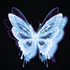 butterfly effect