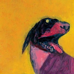 Iron And Wine: NPR Music Tiny Desk Concert