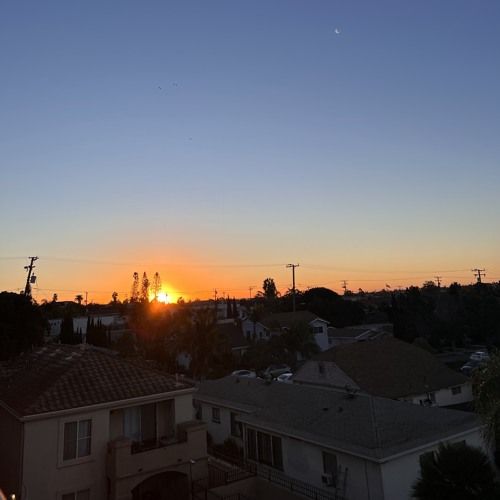 sunset