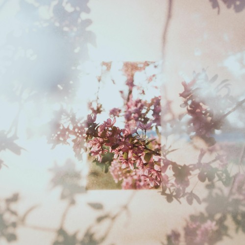 Bid You Adieu! (@Keijibeats Sample Contest)