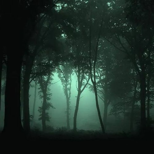 HauntedWoods