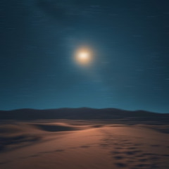 Desert Night