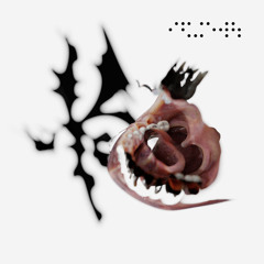 HeadSpineHeartSex