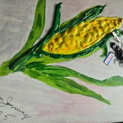 Spider on the corn cob