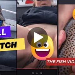 Watch 18++ brown trout video brown trout lady full video brown trout woman twitter