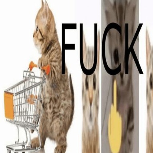 k0shm4r1 =)=)) :PP..zzZZ #digicore