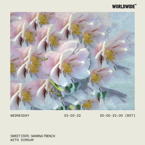 Sweet State on Worldwide FM : Marina Trench with Dimsum