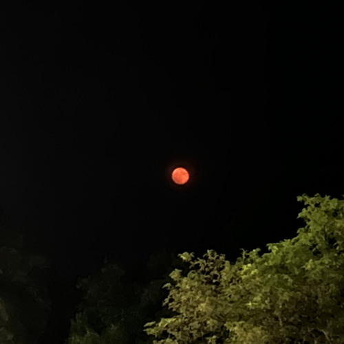 Gnaw - Alex G (SPED UP)