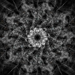 Kaleidoscopic Introspection - Grasshopper