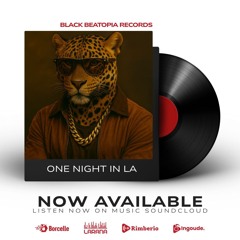 One Night in LA