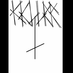 Y.N.P