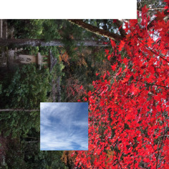 New Leaf Mix (unreleased dubstep mix)