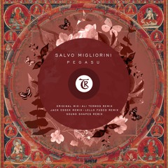 PREMIERE : Salvo Migliorini - Pegasu (Lello Fusco Remix) [Tibetania Records]