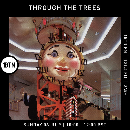 Through The Trees - 06.07.25